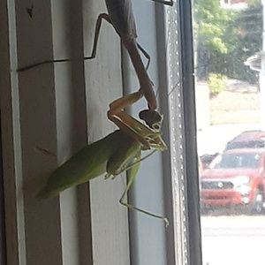 Meet your Posher, Timmy